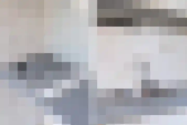 Kruidentuinen 19 Den Haag thumbnail 9