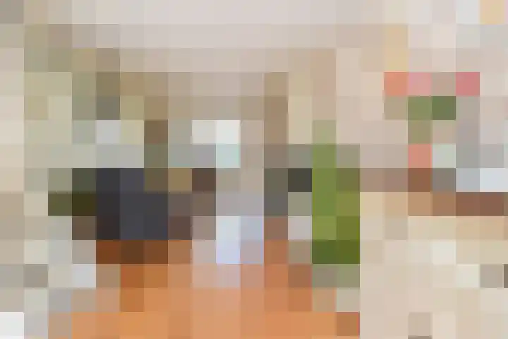 Kruidentuinen 25 Den Haag thumbnail 13