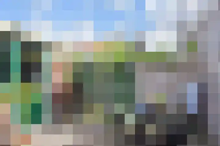 Kruidentuinen 25 Den Haag thumbnail 21