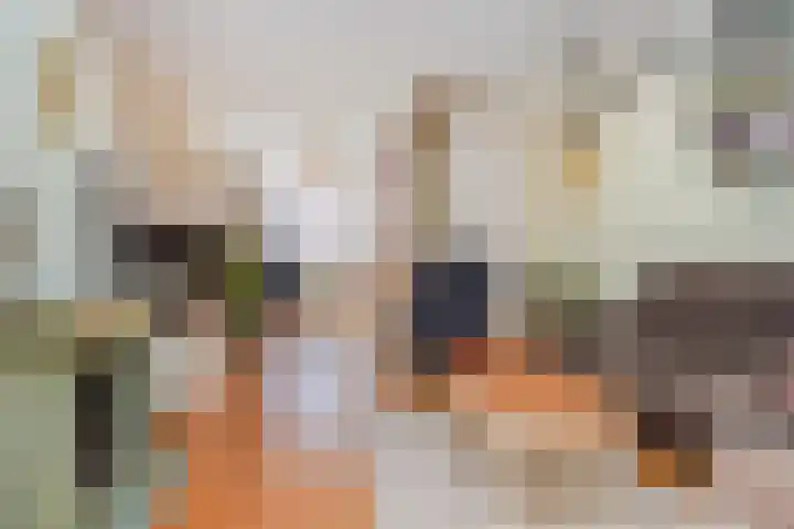 Kruidentuinen 25 Den Haag thumbnail 29