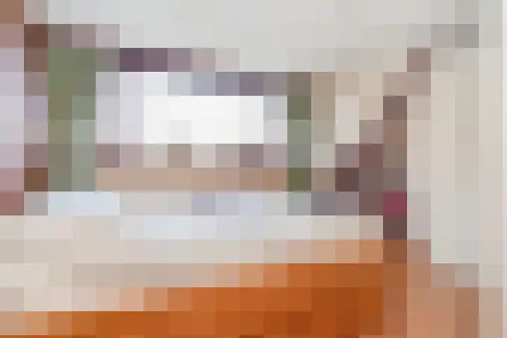 Kruidentuinen 25 Den Haag thumbnail 31