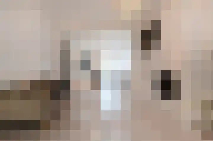 Kruidentuinen 33 Den Haag thumbnail 13