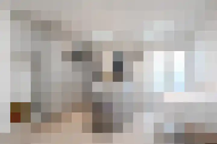 Kruidentuinen 33 Den Haag thumbnail 15