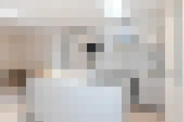 Kruidentuinen 33 Den Haag thumbnail 17
