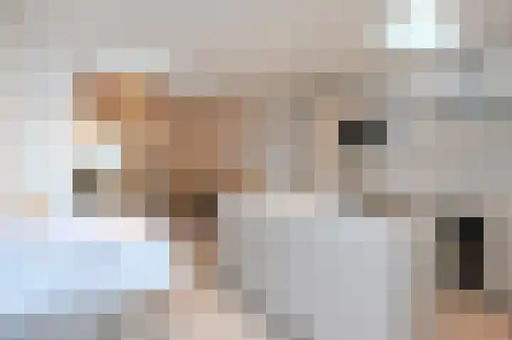 Kruidentuinen 33 Den Haag thumbnail 18