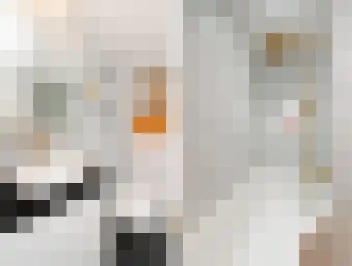 Kruidentuinen 33 Den Haag thumbnail 31