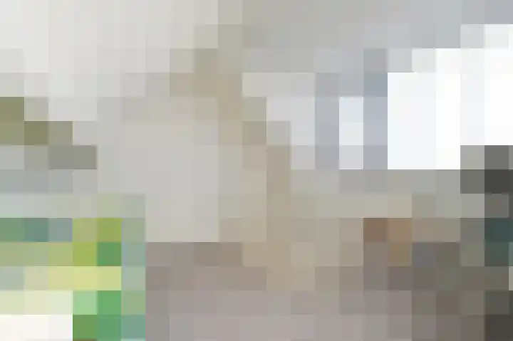Kruidentuinen 33 Den Haag thumbnail 32