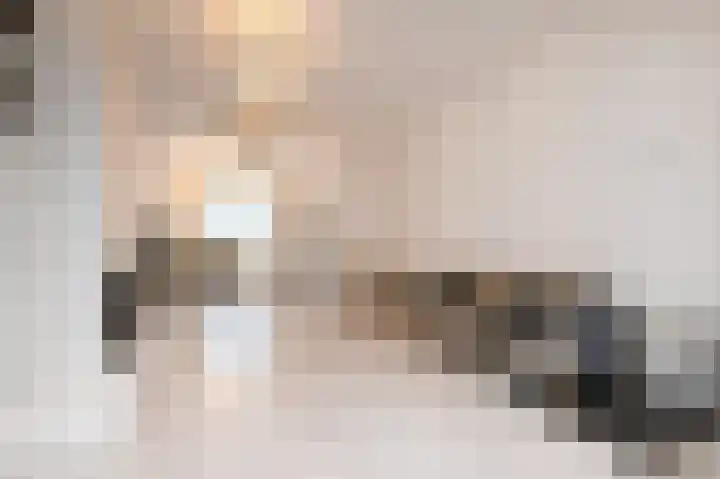 Kruidentuinen 33 Den Haag thumbnail 8