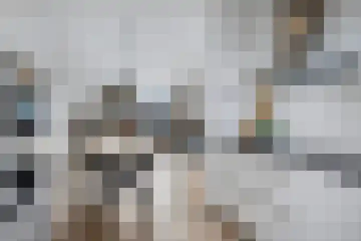 Kruidentuinlaan 33 Vleuten thumbnail 11