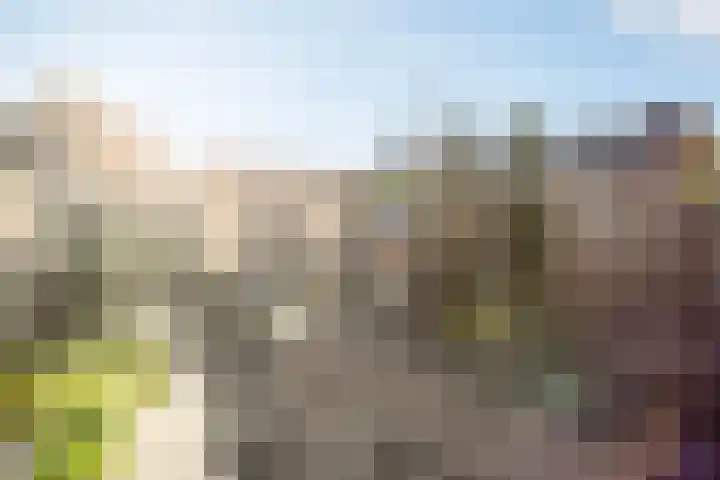 Kruidentuinlaan 33 Vleuten thumbnail 12