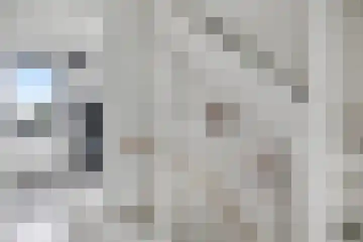 Kruidentuinlaan 33 Vleuten thumbnail 14