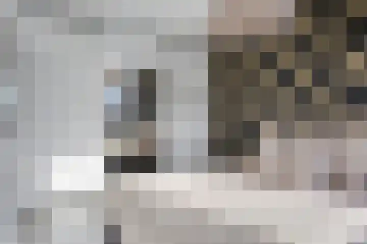 Kruidentuinlaan 33 Vleuten thumbnail 16