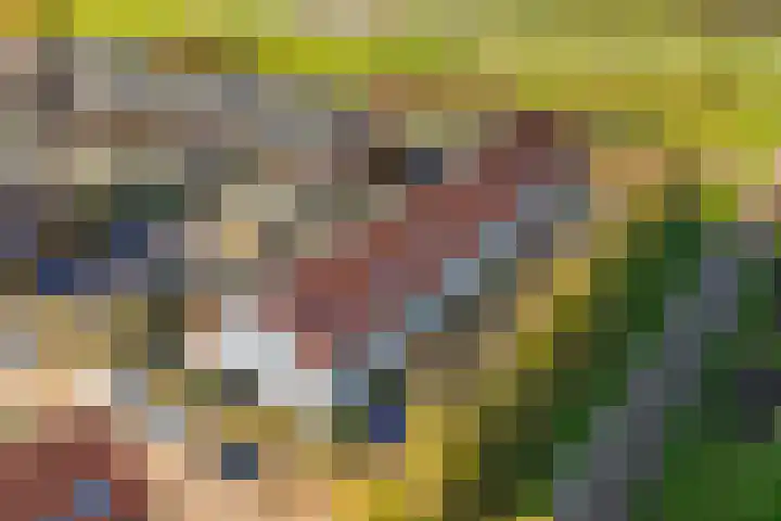 Kruidentuinlaan 33 Vleuten thumbnail 28