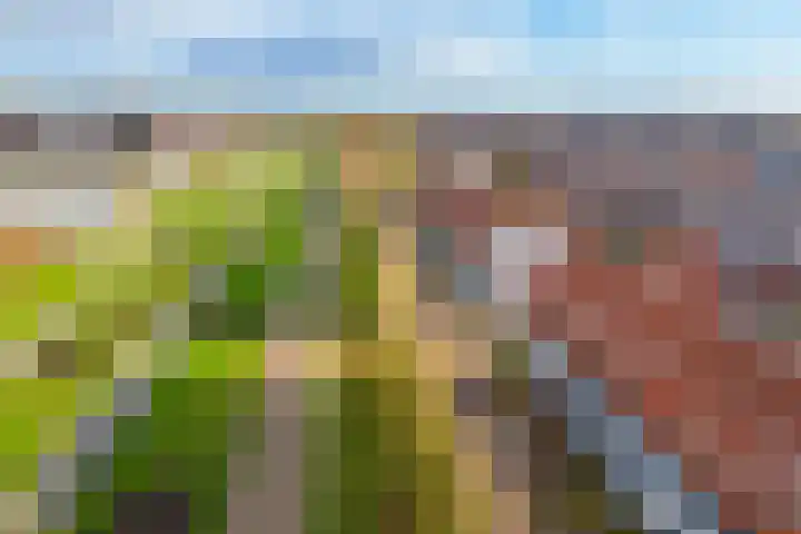 Kruidentuinlaan 33 Vleuten thumbnail 30