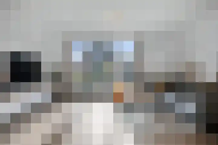 Kruidentuinlaan 33 Vleuten thumbnail 6