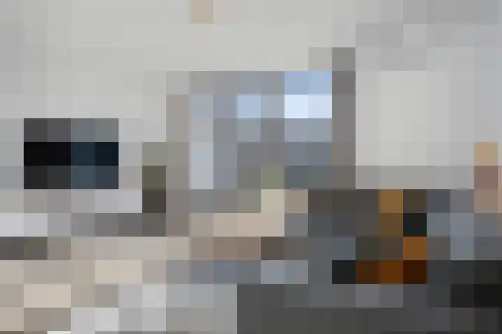 Kruidentuinlaan 33 Vleuten thumbnail 8