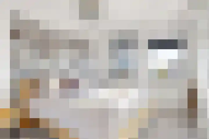 Kruidentuinlaan 34 Vleuten thumbnail 17