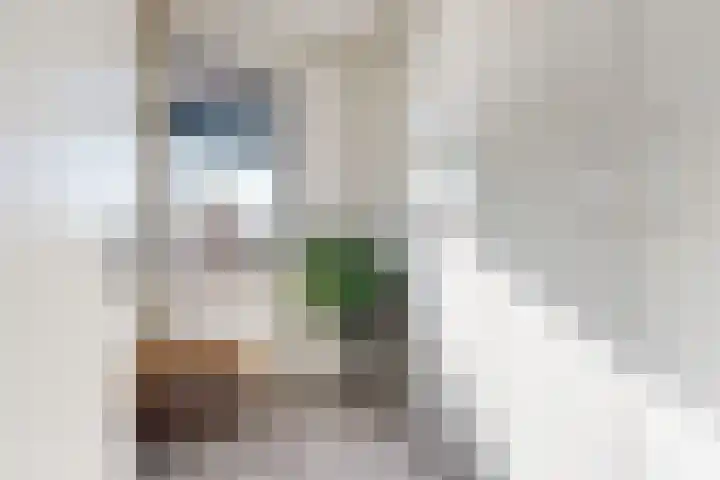 Kruidentuinlaan 34 Vleuten thumbnail 21
