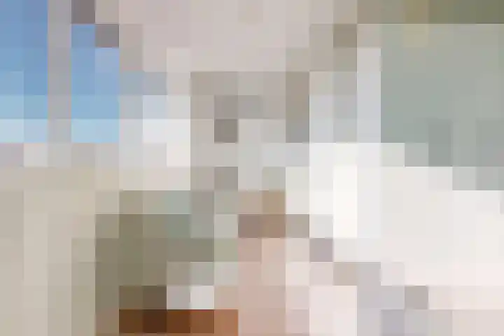 Kruidentuinlaan 34 Vleuten thumbnail 30