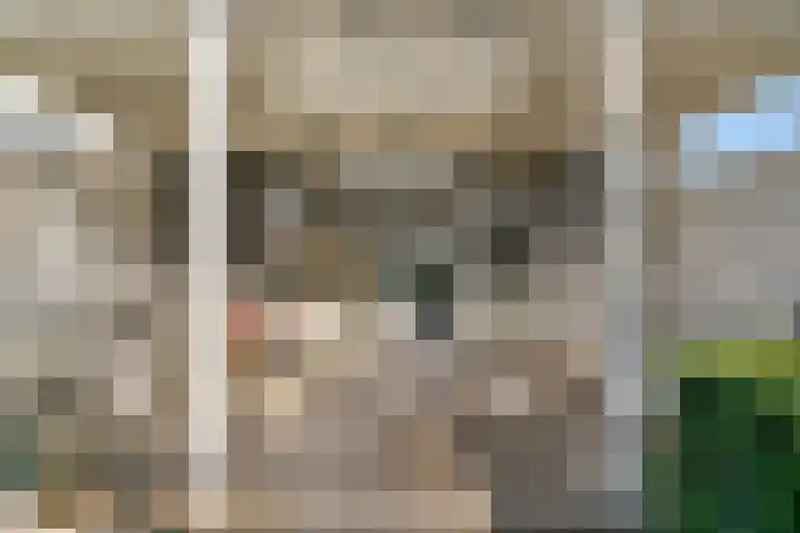 Kruidentuinlaan 34 Vleuten thumbnail 33