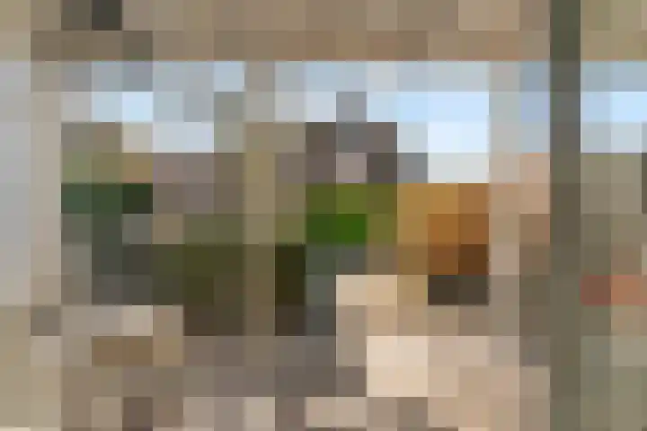 Kruidentuinlaan 34 Vleuten thumbnail 34