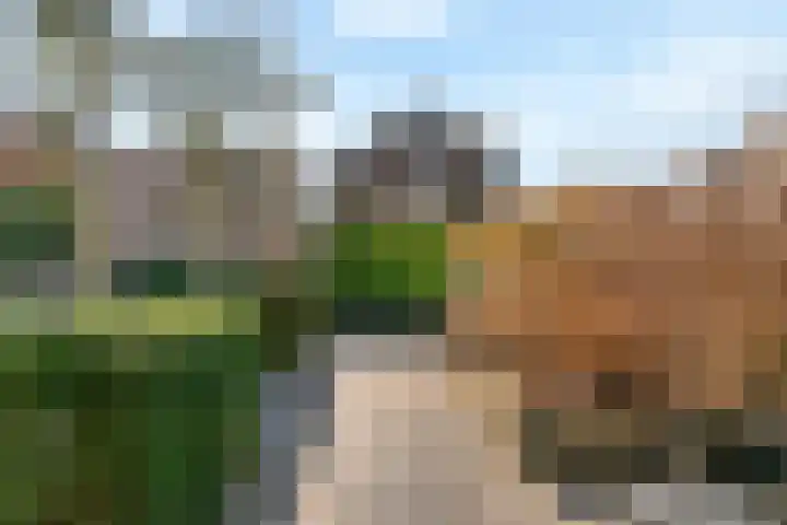 Kruidentuinlaan 34 Vleuten thumbnail 35