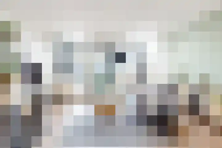 Kruidentuinlaan 34 Vleuten thumbnail 4