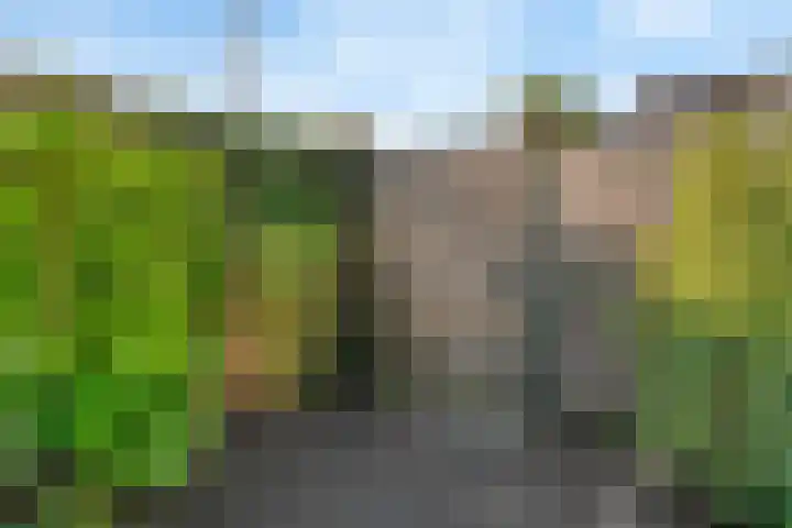 Kruidentuinlaan 34 Vleuten thumbnail 41