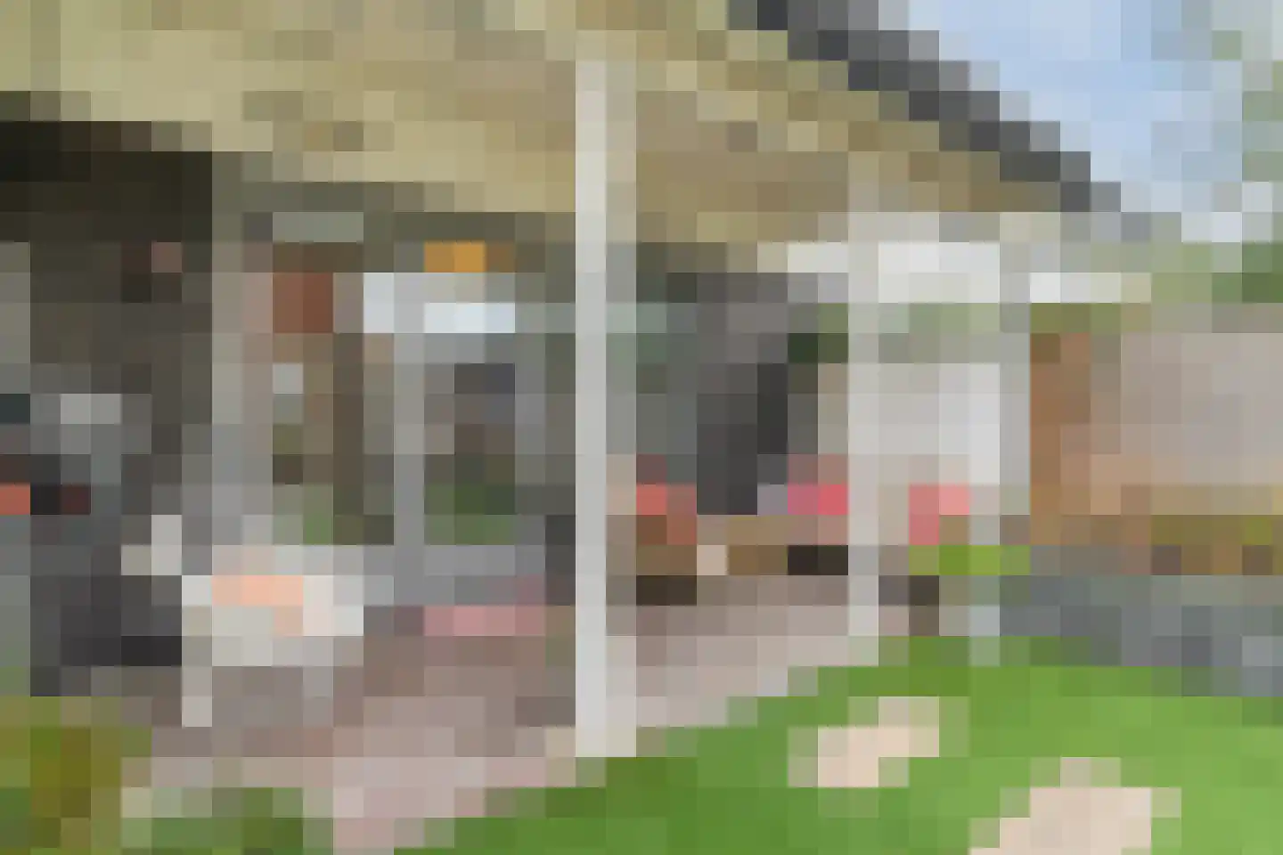Kruidentuinlaan 36 Vleuten thumbnail 16