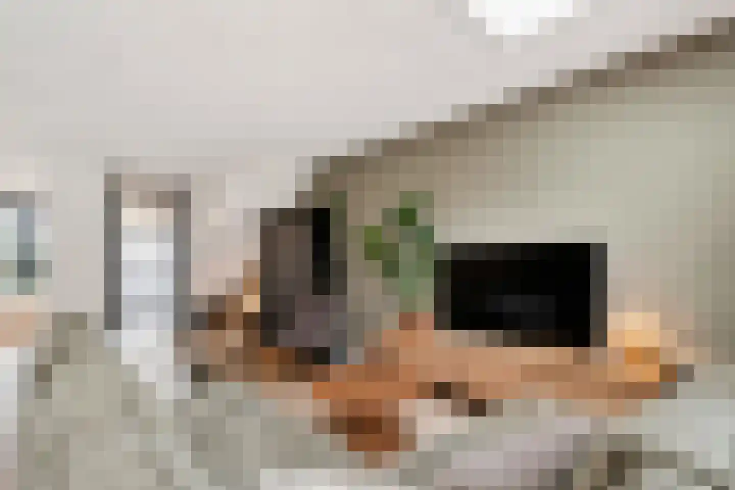 Kruidentuinlaan 36 Vleuten thumbnail 18