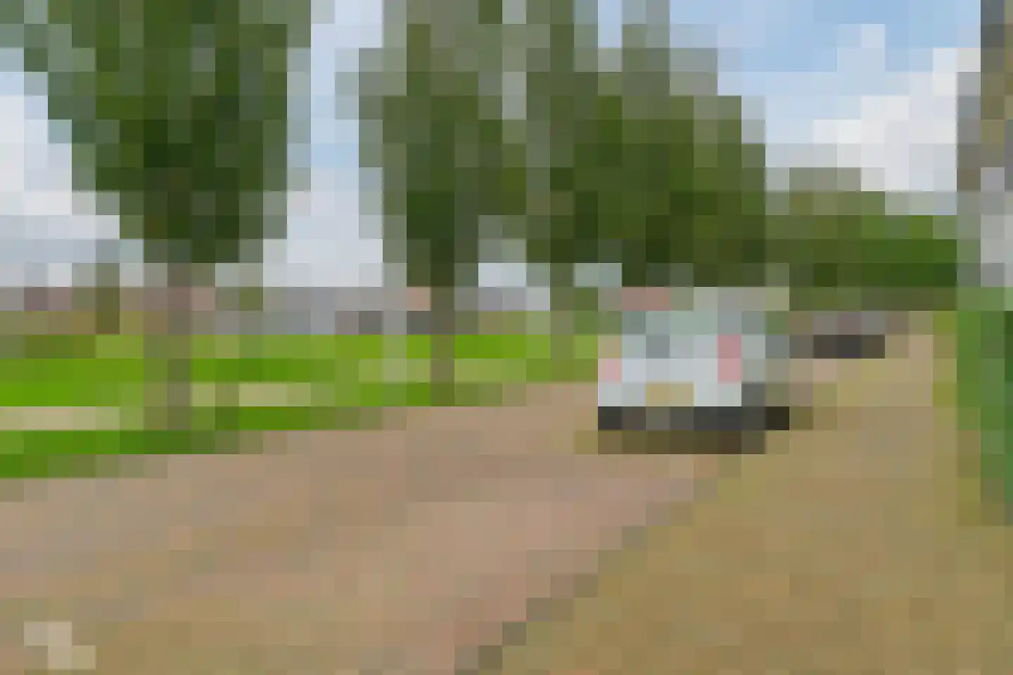 Kruidentuinlaan 36 Vleuten thumbnail 45