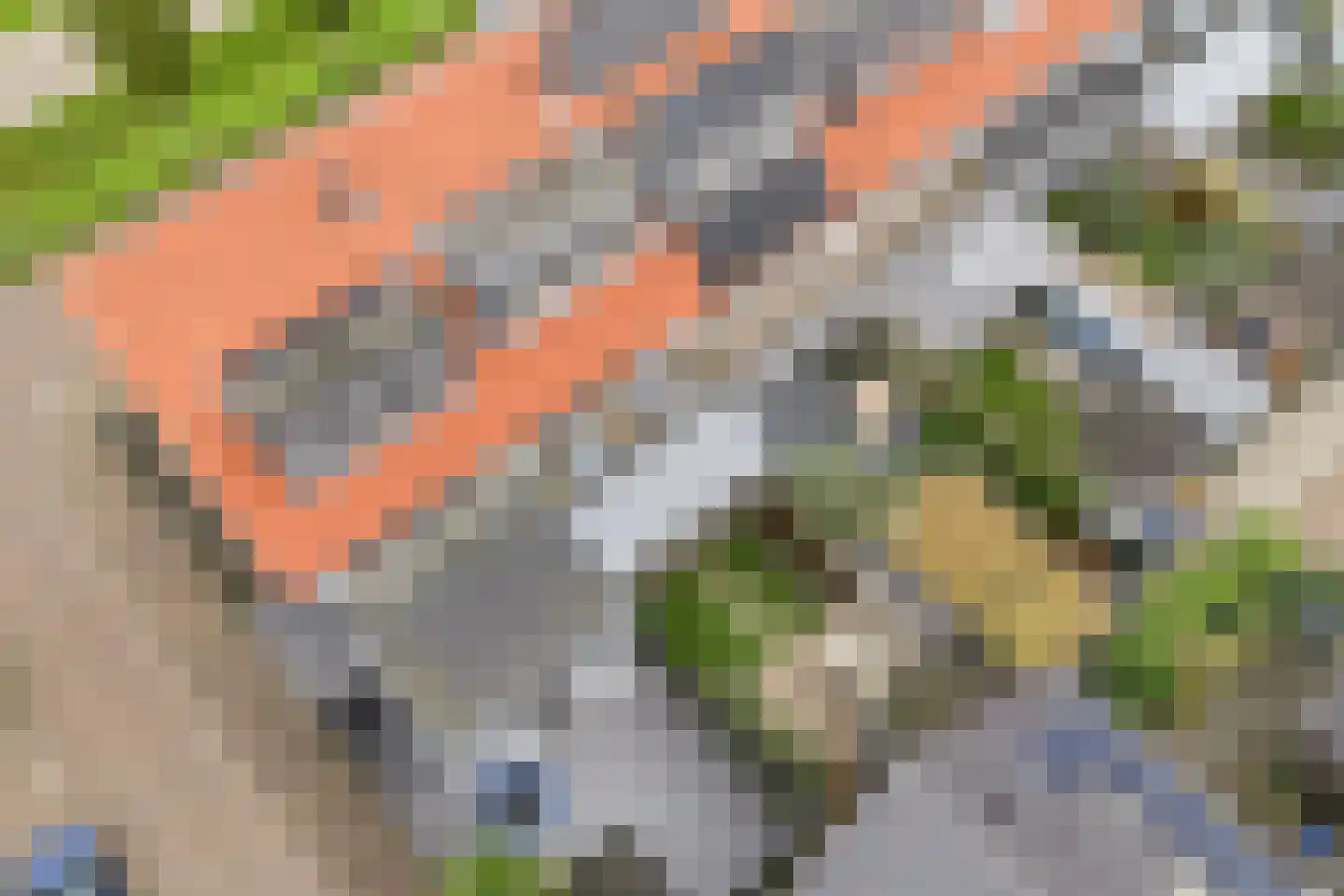 Kruidentuinlaan 36 Vleuten thumbnail 47