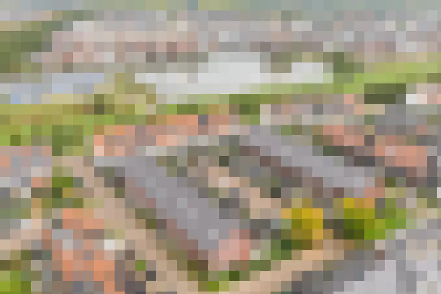Kruidentuinlaan 36 Vleuten thumbnail 49