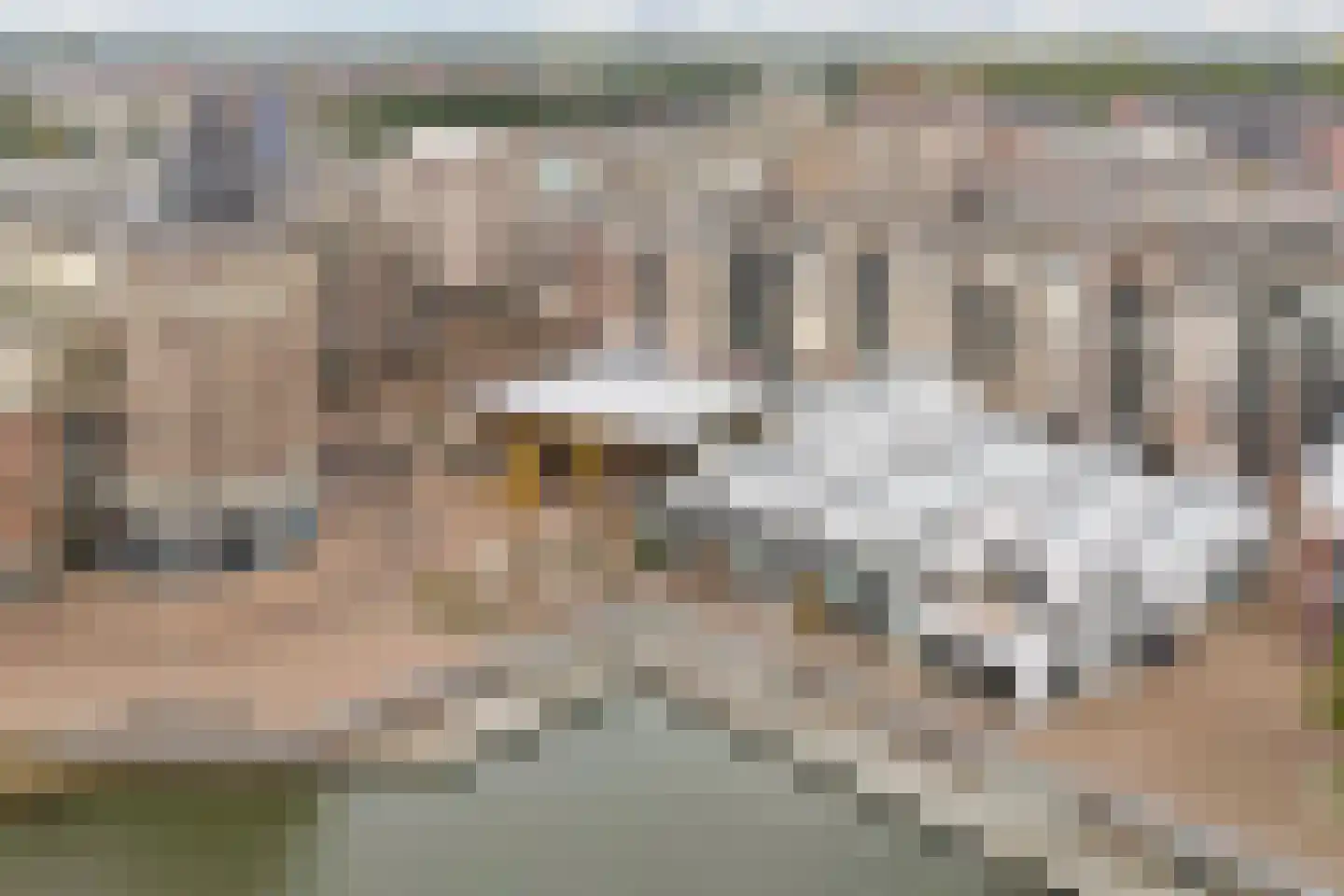 Kruidentuinlaan 36 Vleuten thumbnail 52