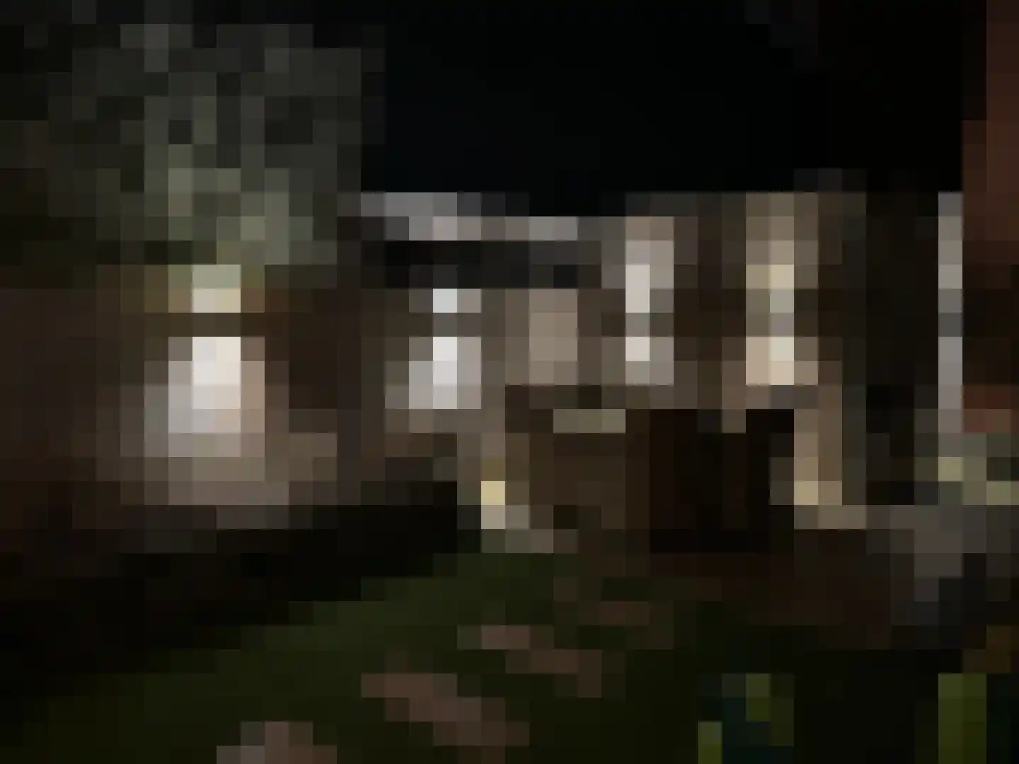 Kruidentuinlaan 36 Vleuten thumbnail 57
