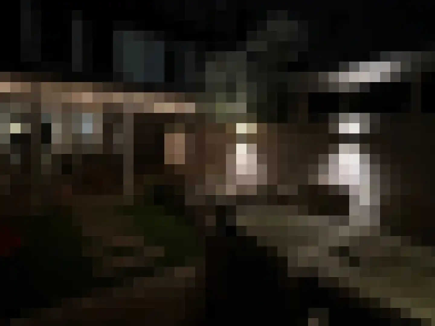Kruidentuinlaan 36 Vleuten thumbnail 58