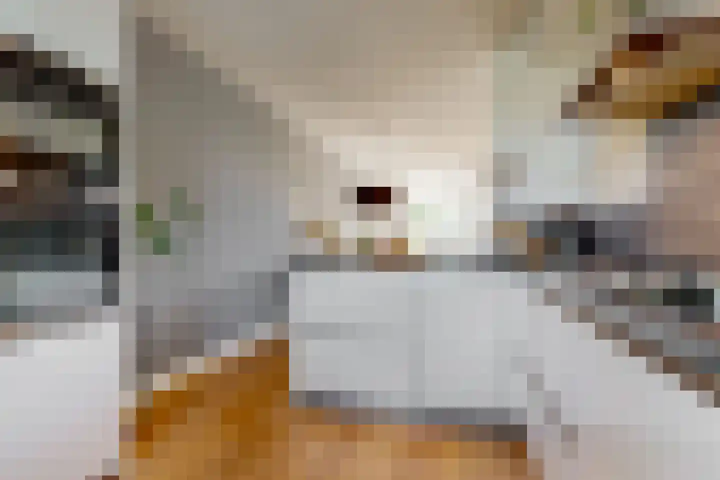 Kruidentuinlaan 40 Vleuten thumbnail 11