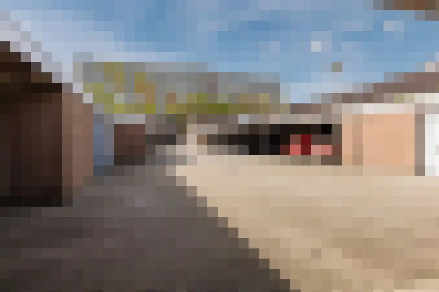 Kruidhof 11 Bergen op Zoom thumbnail 52