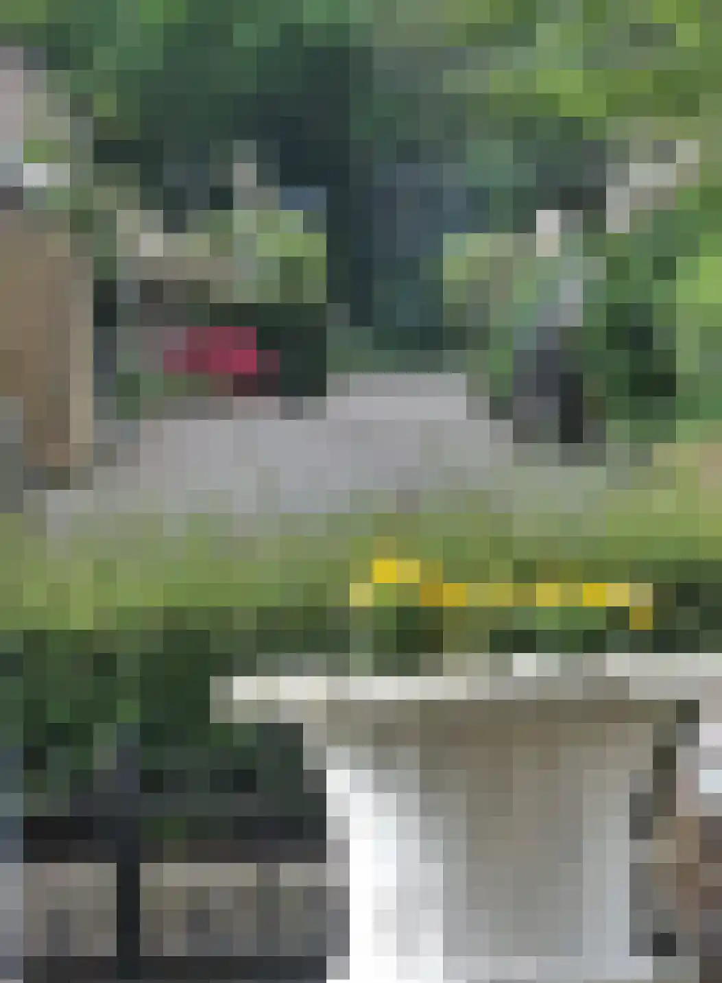 Kruidhof 14 Bergen op Zoom thumbnail 12
