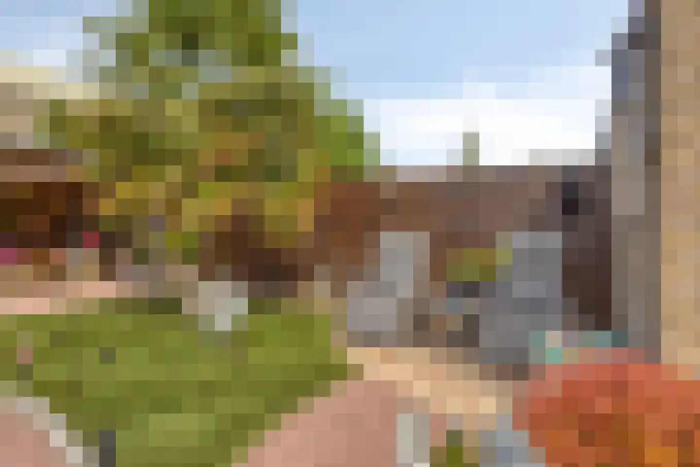 Kruidhof 14 Bergen op Zoom thumbnail 29