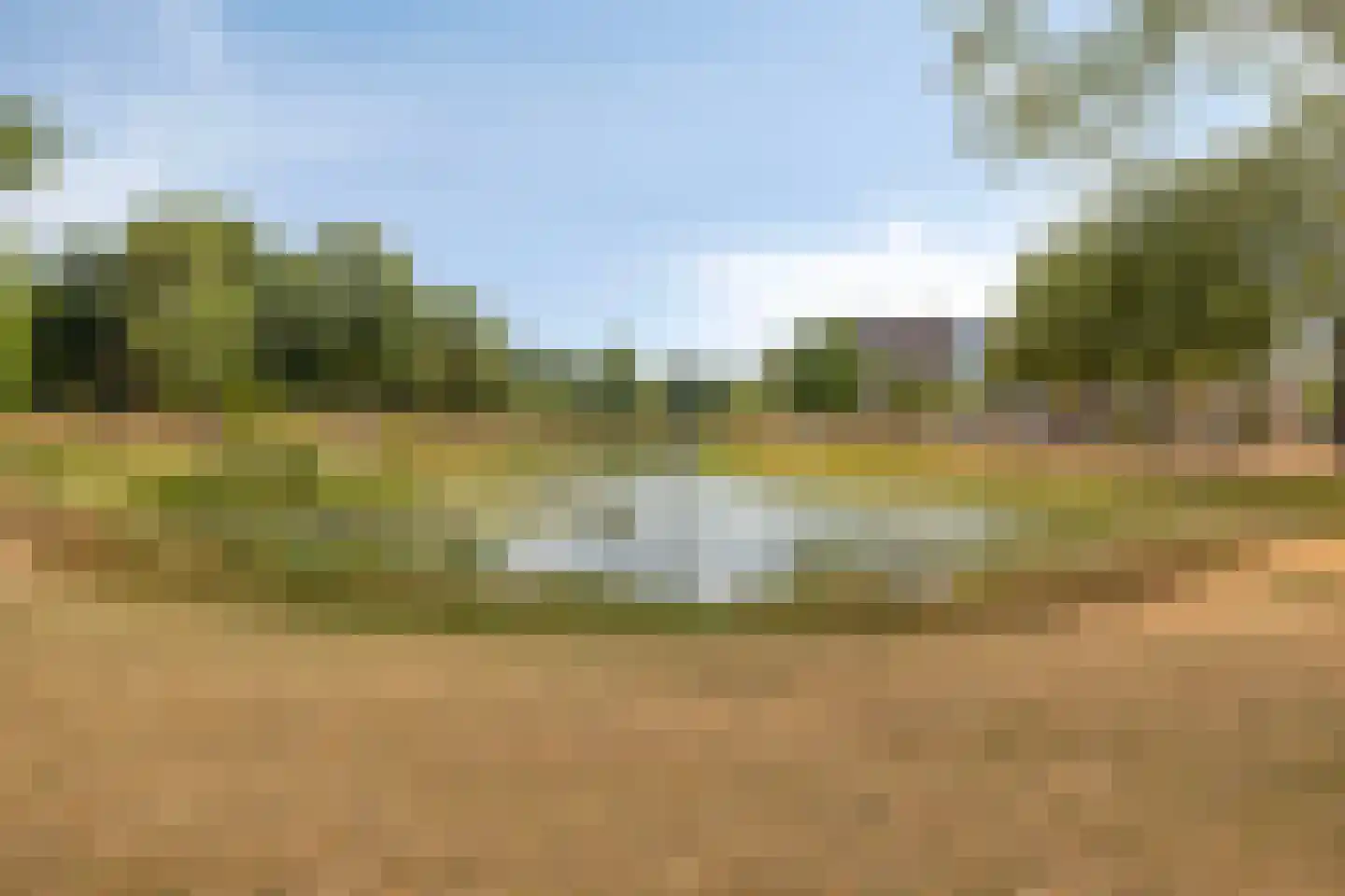 Kruidhof 14 Bergen op Zoom thumbnail 35
