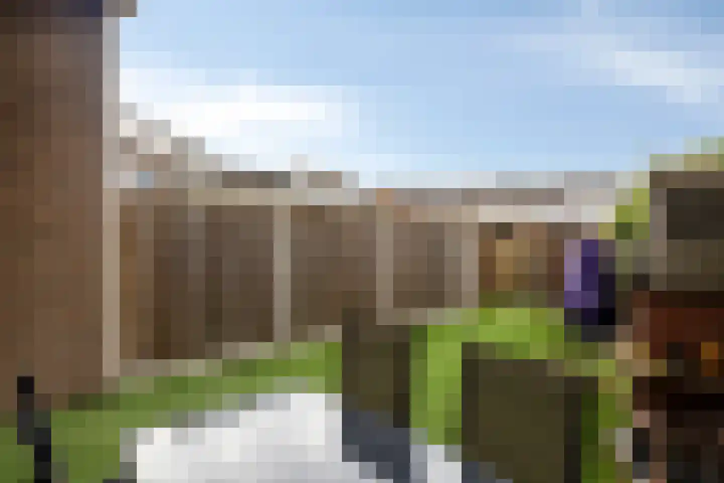 Kruidhof 21 Bergen op Zoom thumbnail 24