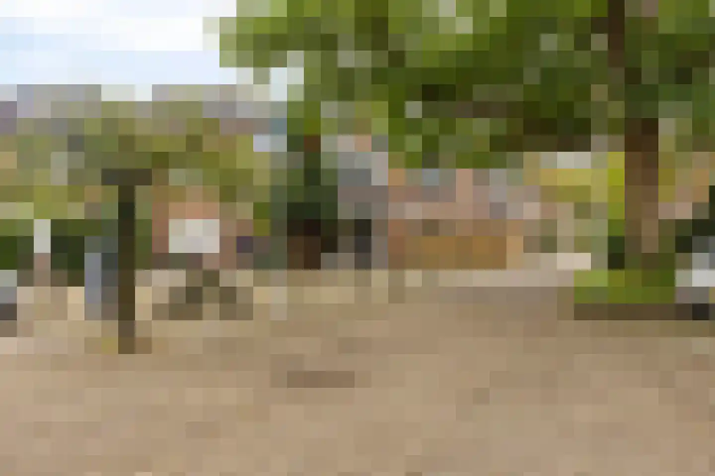 Kruidhof 21 Bergen op Zoom thumbnail 29