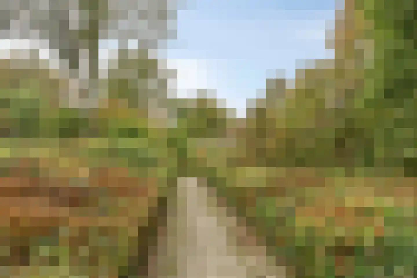 Kruidhof 21 Bergen op Zoom thumbnail 31