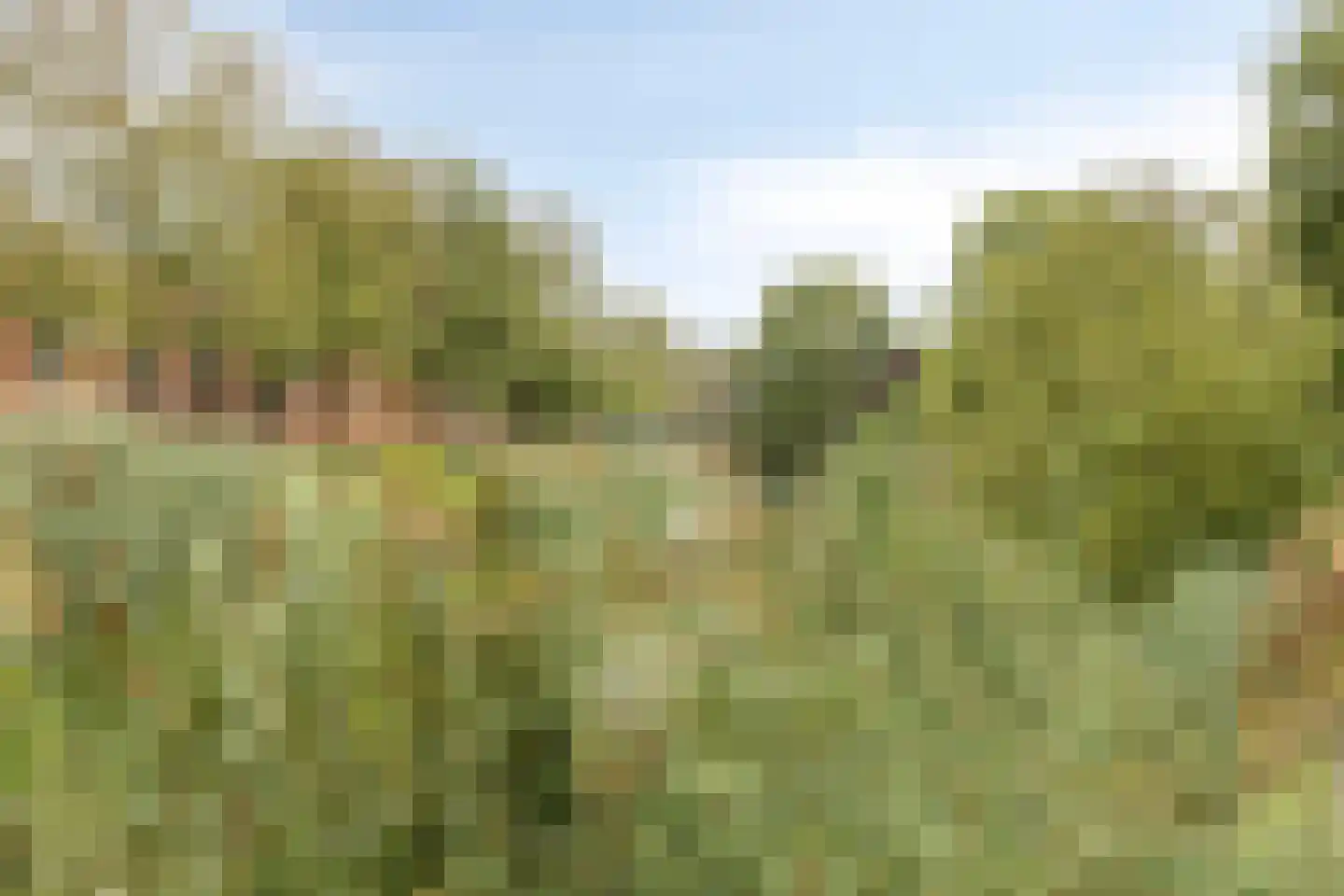 Kruidhof 21 Bergen op Zoom thumbnail 32