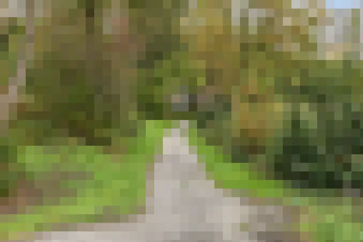 Kruidhof 21 Bergen op Zoom thumbnail 33