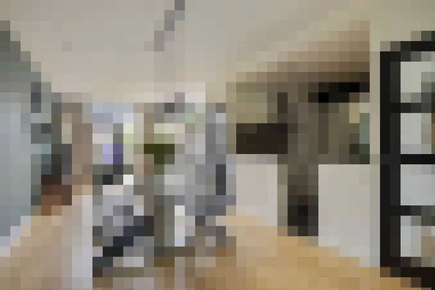 Kruidhof 21 Bergen op Zoom thumbnail 8