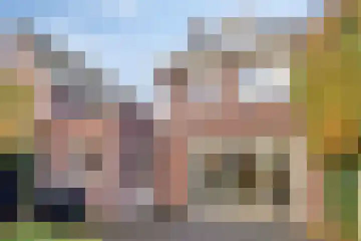 Kruidnagel 14 Gemert thumbnail 24