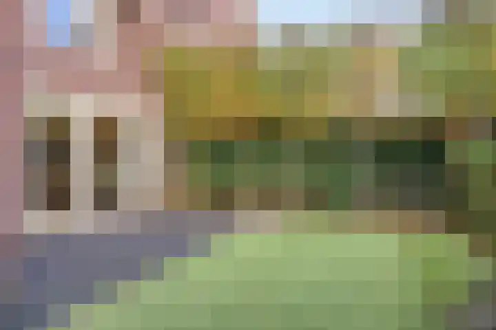 Kruidnagel 14 Gemert thumbnail 26