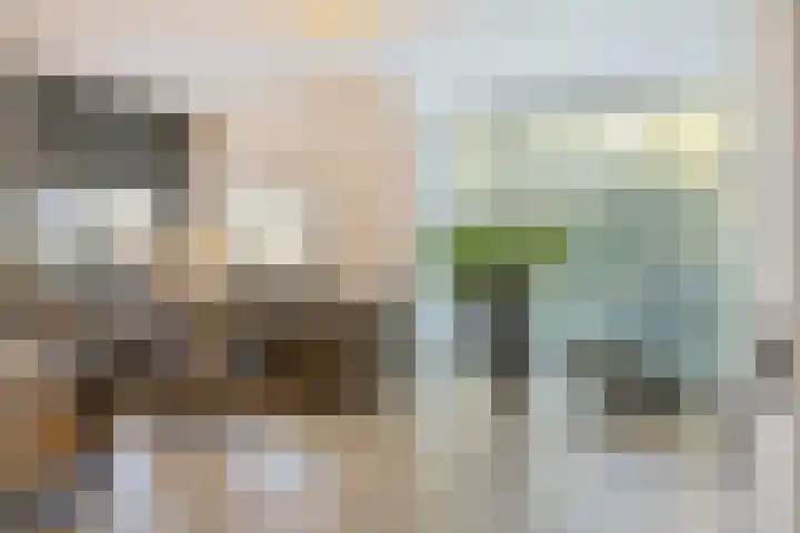 Kruidnagel 14 Gemert thumbnail 8
